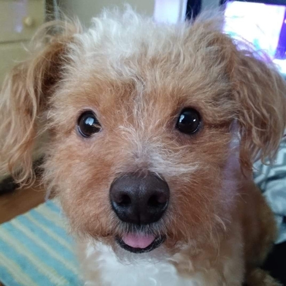 Brandon's Journey - Picture 4 of 5